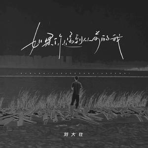 男人鸡巴插入阴道视频
